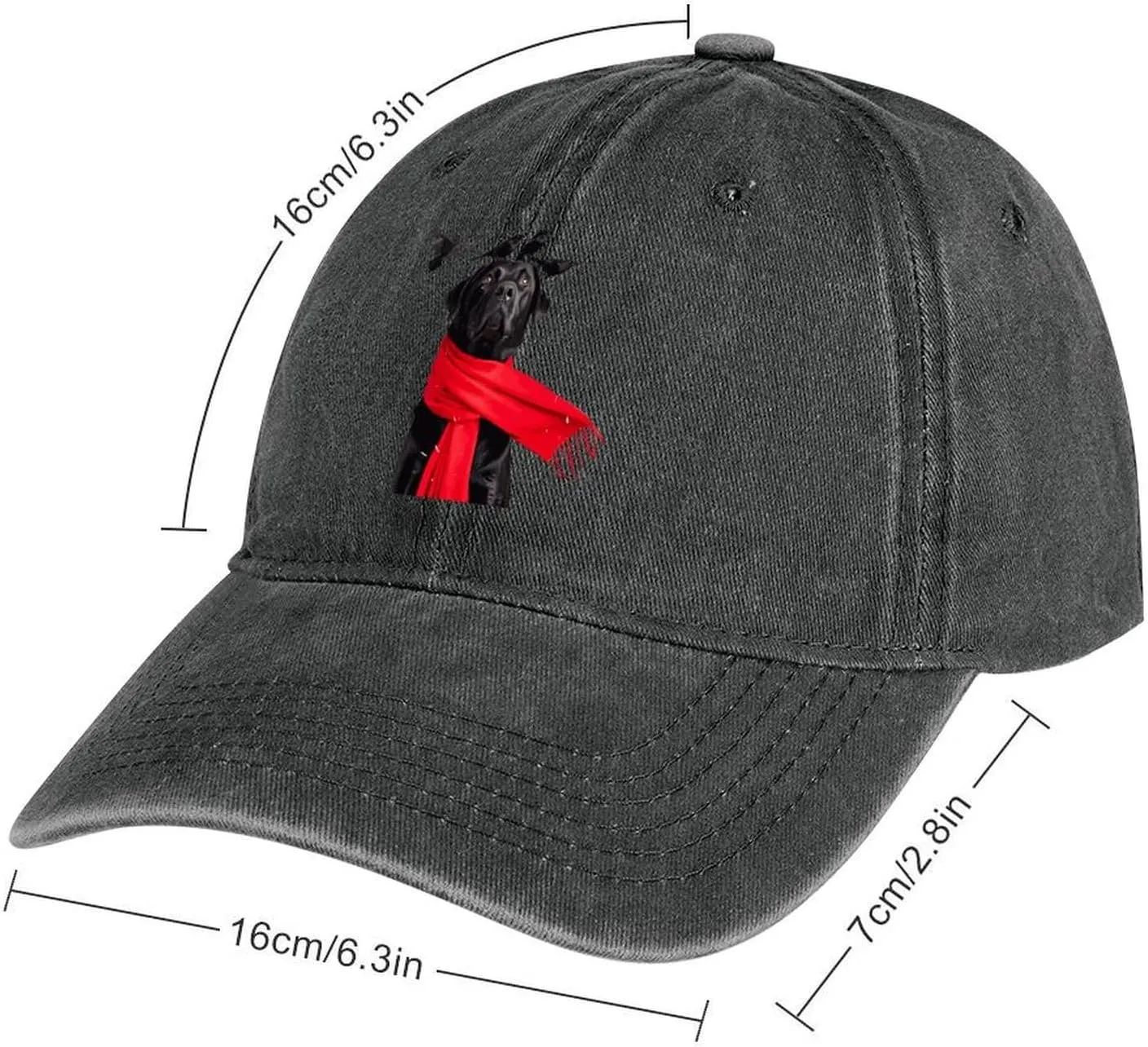 A Black Labrador Dog and Black Raven Baseball Trucker Cap Athletic Denim Hat Vintage Gaming Dad Hats for Men Women