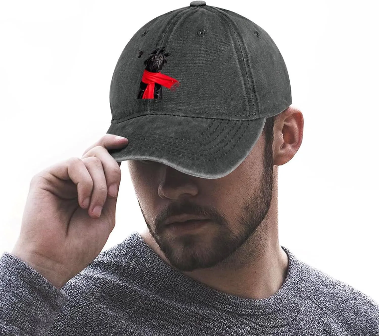 A Black Labrador Dog and Black Raven Baseball Trucker Cap Athletic Denim Hat Vintage Gaming Dad Hats for Men Women
