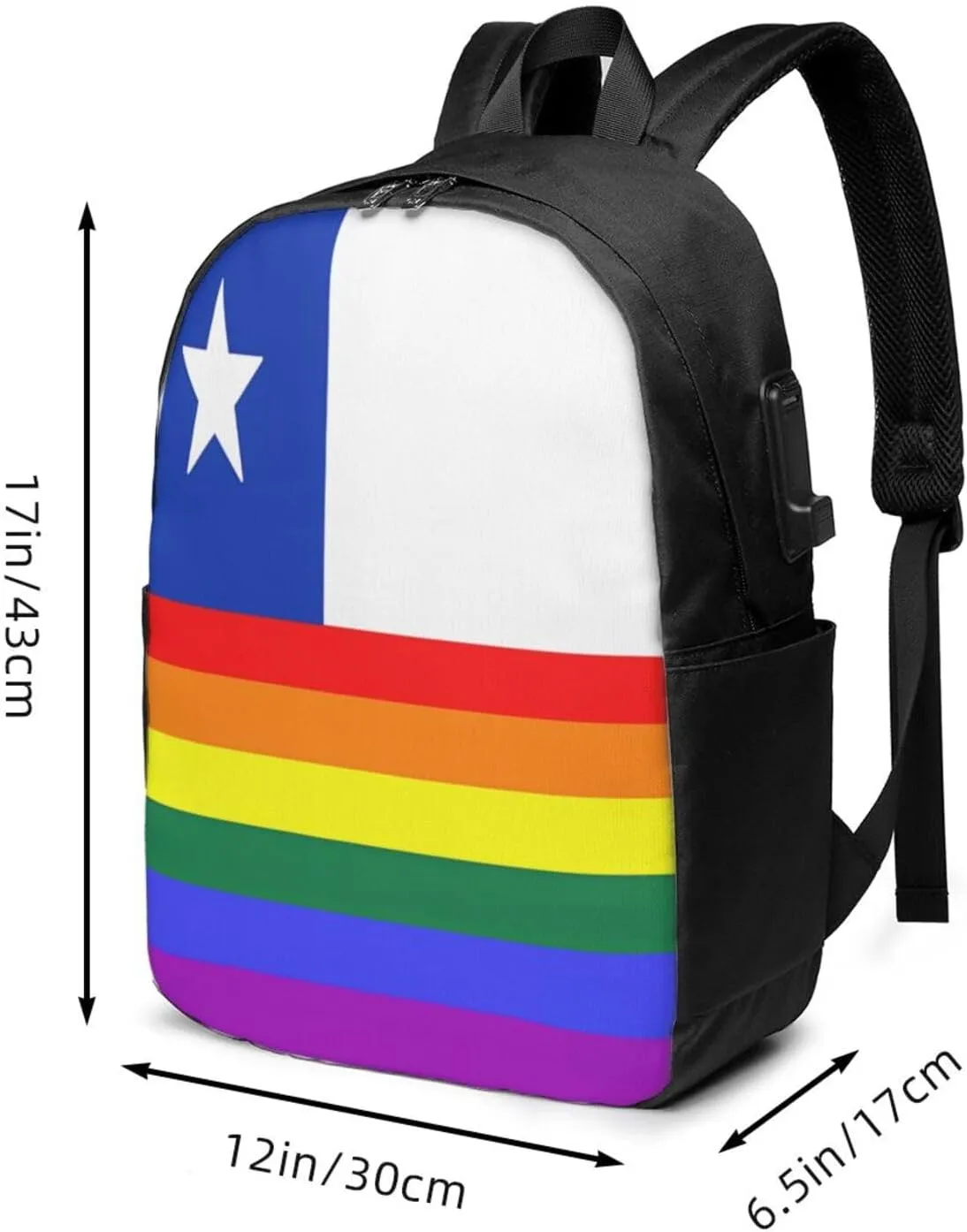 Chile Chilean LGBT Pride Gay Rainbow Trans Flag Laptop Backpacks Travel Backpack Casual Business Daypack Sport Rucksack Computer Bag Fits up to 17 Inch Notebook with USB Port