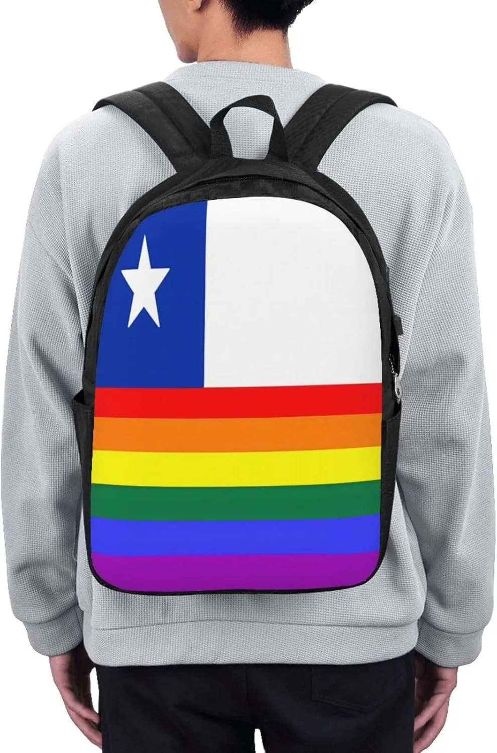 Chile Chilean LGBT Pride Gay Rainbow Trans Flag Laptop Backpacks Travel Backpack Casual Business Daypack Sport Rucksack Computer Bag Fits up to 17 Inch Notebook with USB Port
