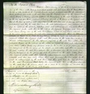 Court of Common Pleas - Ann Webster