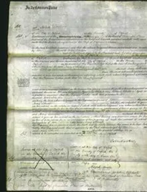 Court of Common Pleas - Mary Johnson