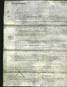 Court of Common Pleas - Mary Johnson