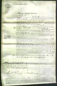 Court of Common Pleas - Mary Painter
