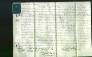 Court of Common Pleas - Mary Tyrrell