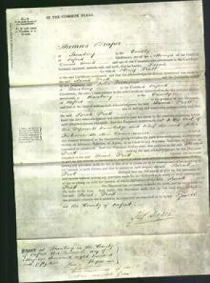Court of Common Pleas - Sarah Pratt