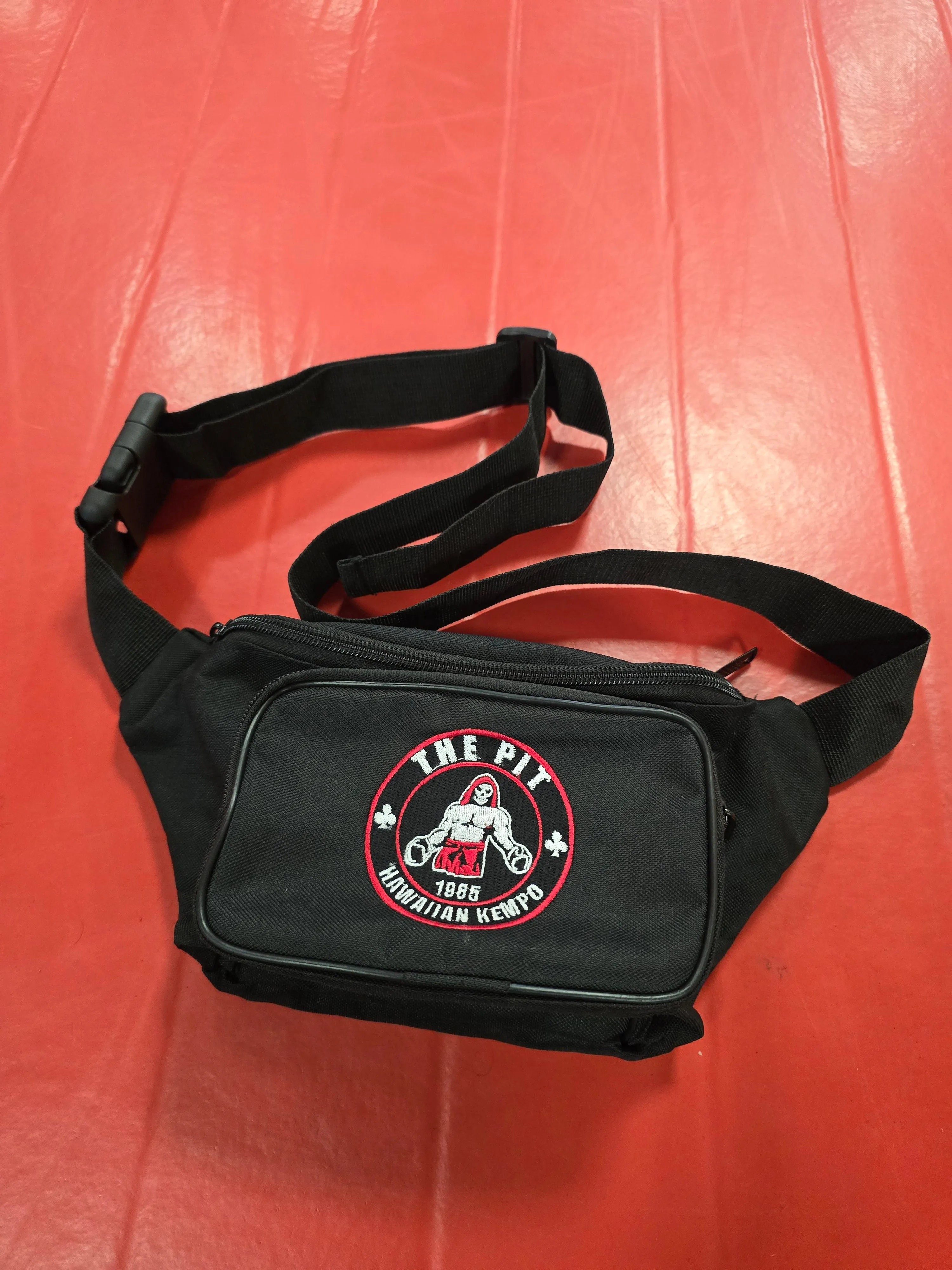 Fanny Pack/Cross Body Bag