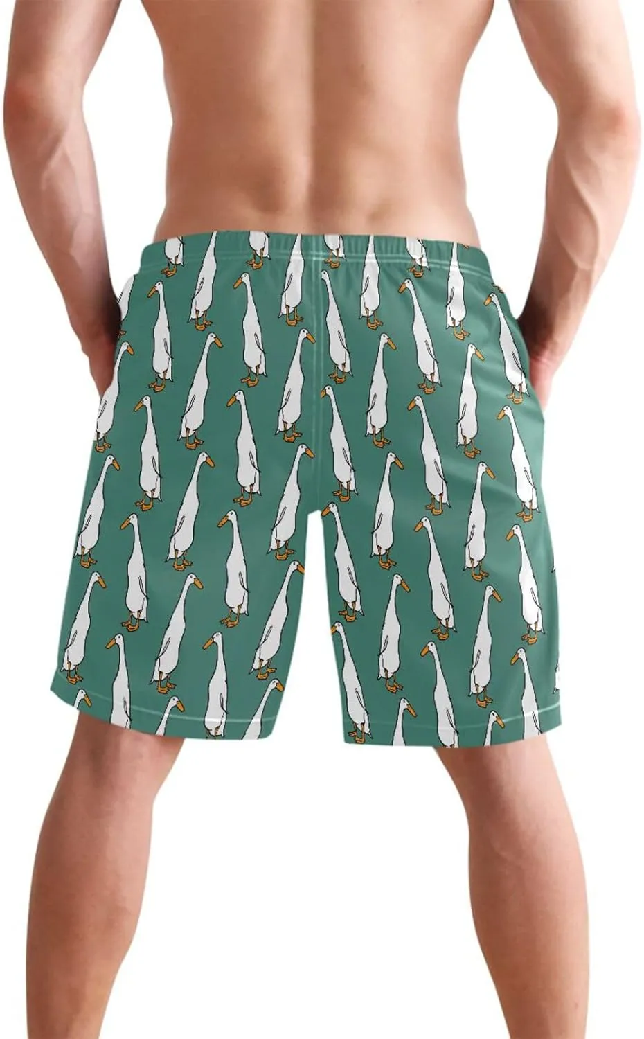 Laprad Men's Swim Trunks Quick Dry Beach Swimsuit Shorts Indian Runner Ducks with Mesh Lining