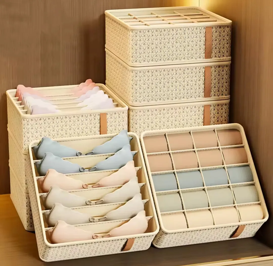 Multipurpose undergarment organizer