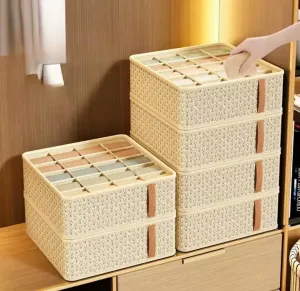 Multipurpose undergarment organizer