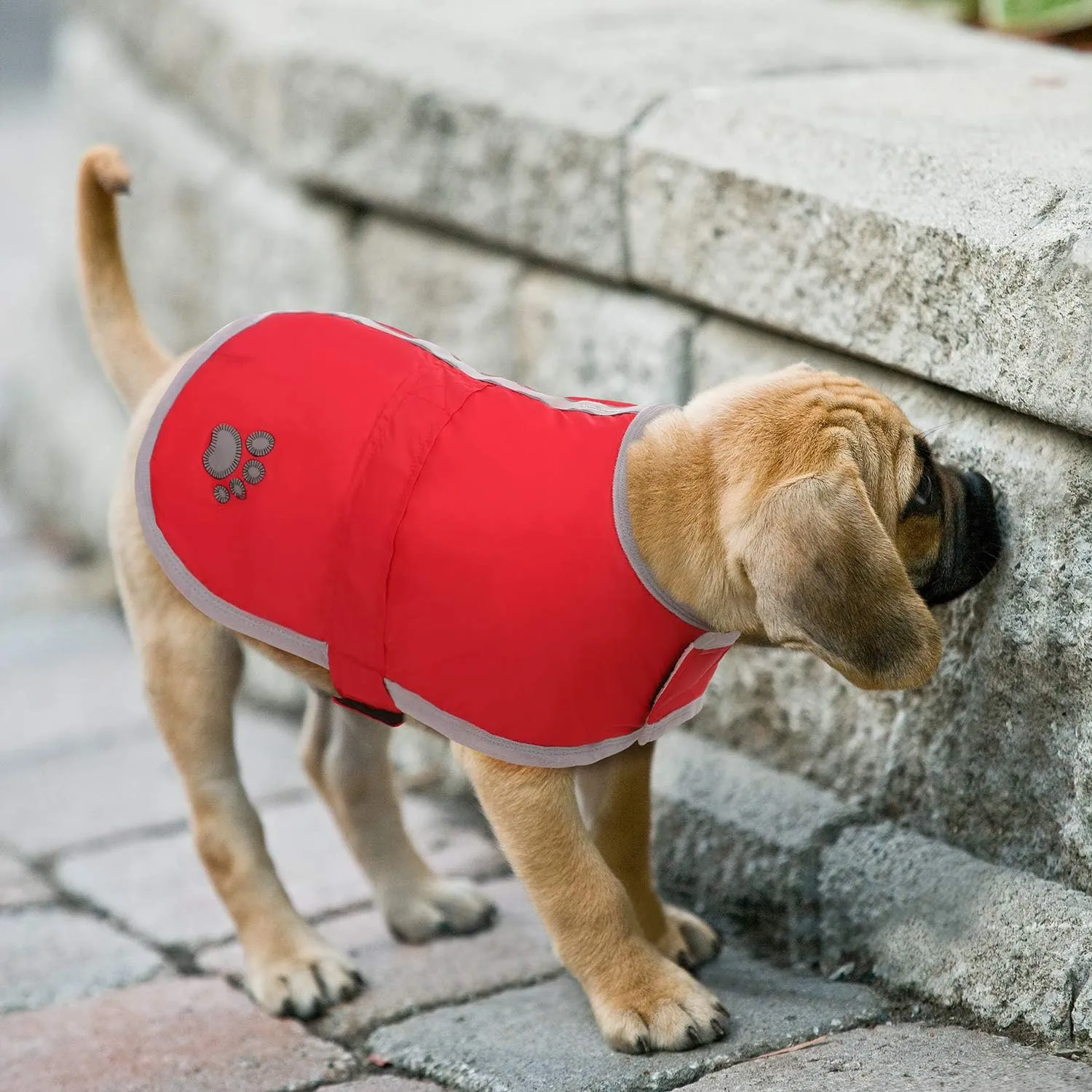 Queenmore Cold Weather Dog Coats Loft Reversible Winter Fleece Dog Vest Waterproof Pet Jacket Available in Extra Small, Small, Medium, Large Extra Large Sizes