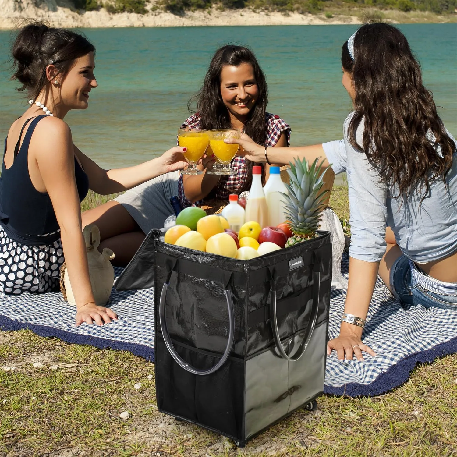 Reusable Grocery Bag On Wheels Large Capacity Shopping Trolley Foldable Rolling Tote with Outside Pocket, Heavy Duty Handle (Black, Medium)
