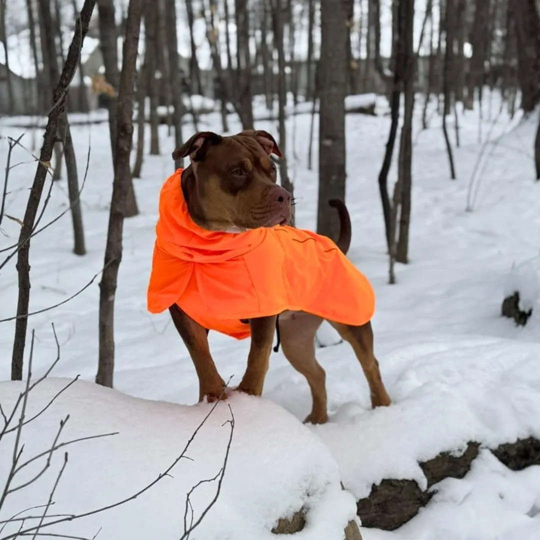 Spark Paws Dog Raincoat, Waterproof Windproof Rain Jacket, for Small Medium Large Extra Large Dogs, Reflective Breathable Full-Body Coverage Dry Suit - Orange - M