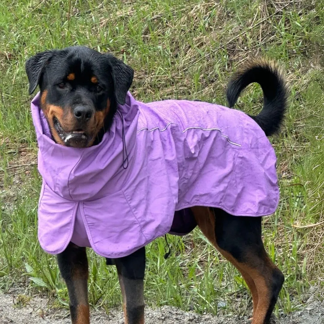 Spark Paws Dog Raincoat, Waterproof Windproof Rain Jacket, for Small Medium Large Extra Large Dogs, Reflective Breathable Full-Body Coverage Dry Suit - Purple - M