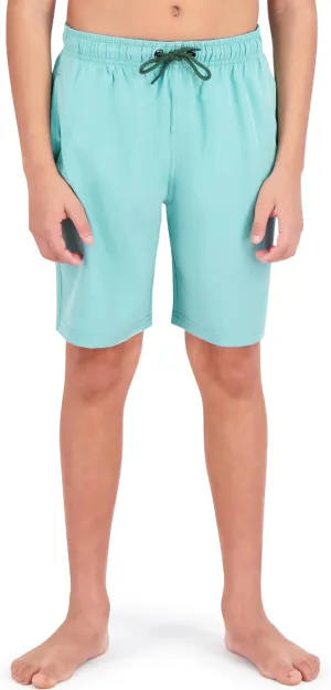 Spyder Boys' Swim Trunk Volley Shorts– Quick-Dry, UPF 30 , 4-Way Stretch, Brief Liner, Pockets