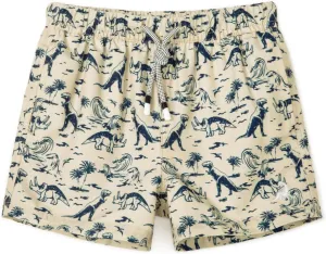 SURF CUZ Boys Swim Trunks Toddler Swim Shorts UPF 50  Bathing Suit for Boy Swimsuit Quick Dry Mesh Beach Boardshorts Swimwear