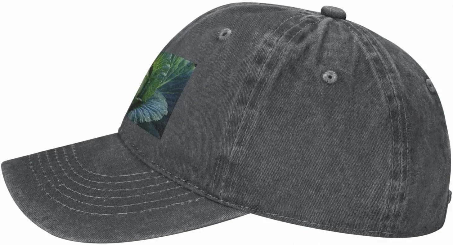 Unisex Denim Baseball Cap Classic Breathable Brim Hat Bright Cabbage Trucker Hat Adjustable Dad Hat Casual Outdoor Sun Hat