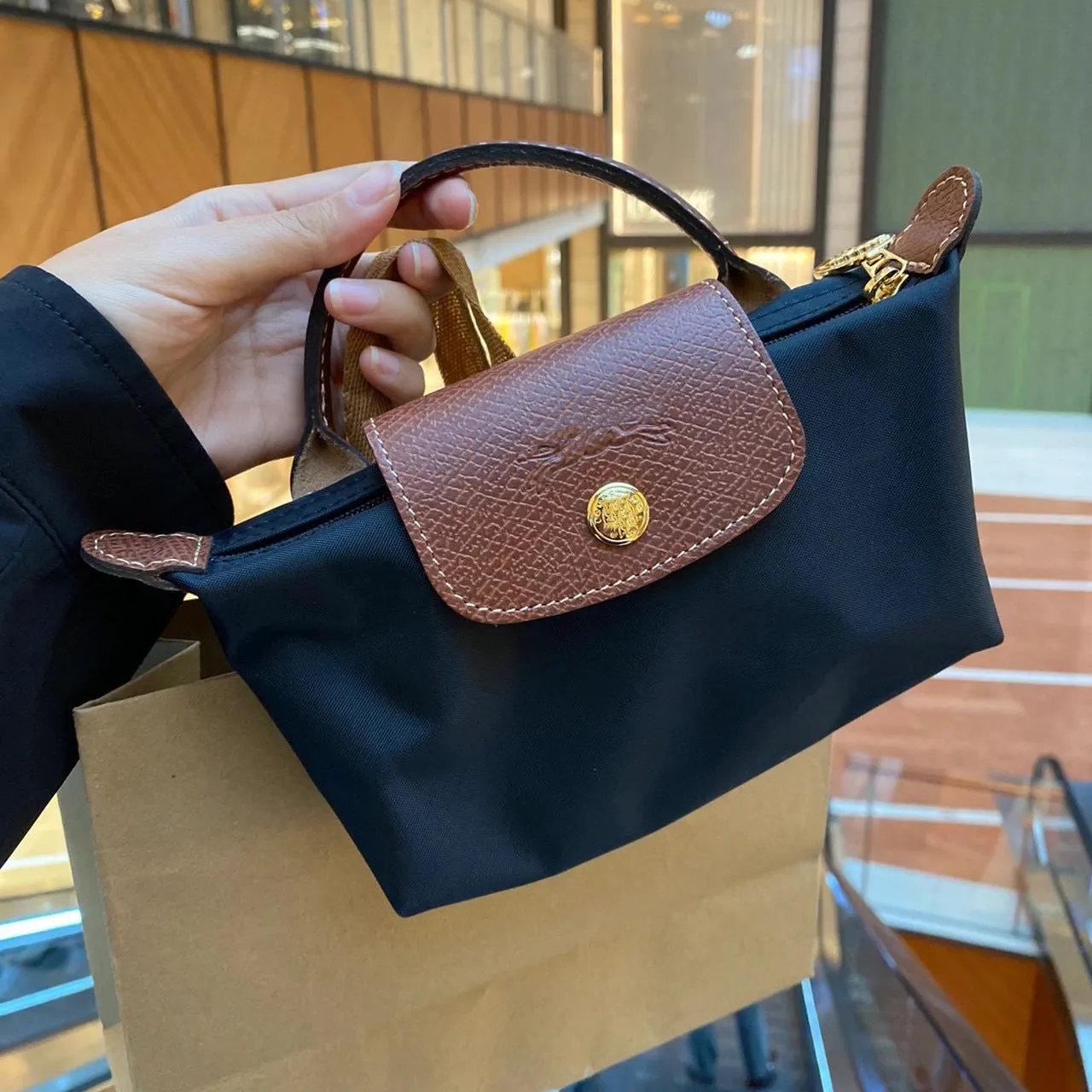 VLOVELAW Dragon Mini Dumpling Bag Mobile Phone Bag Document Package Lightweight Crossbody Bag Waterproof Nylon Bag Commuter Bag