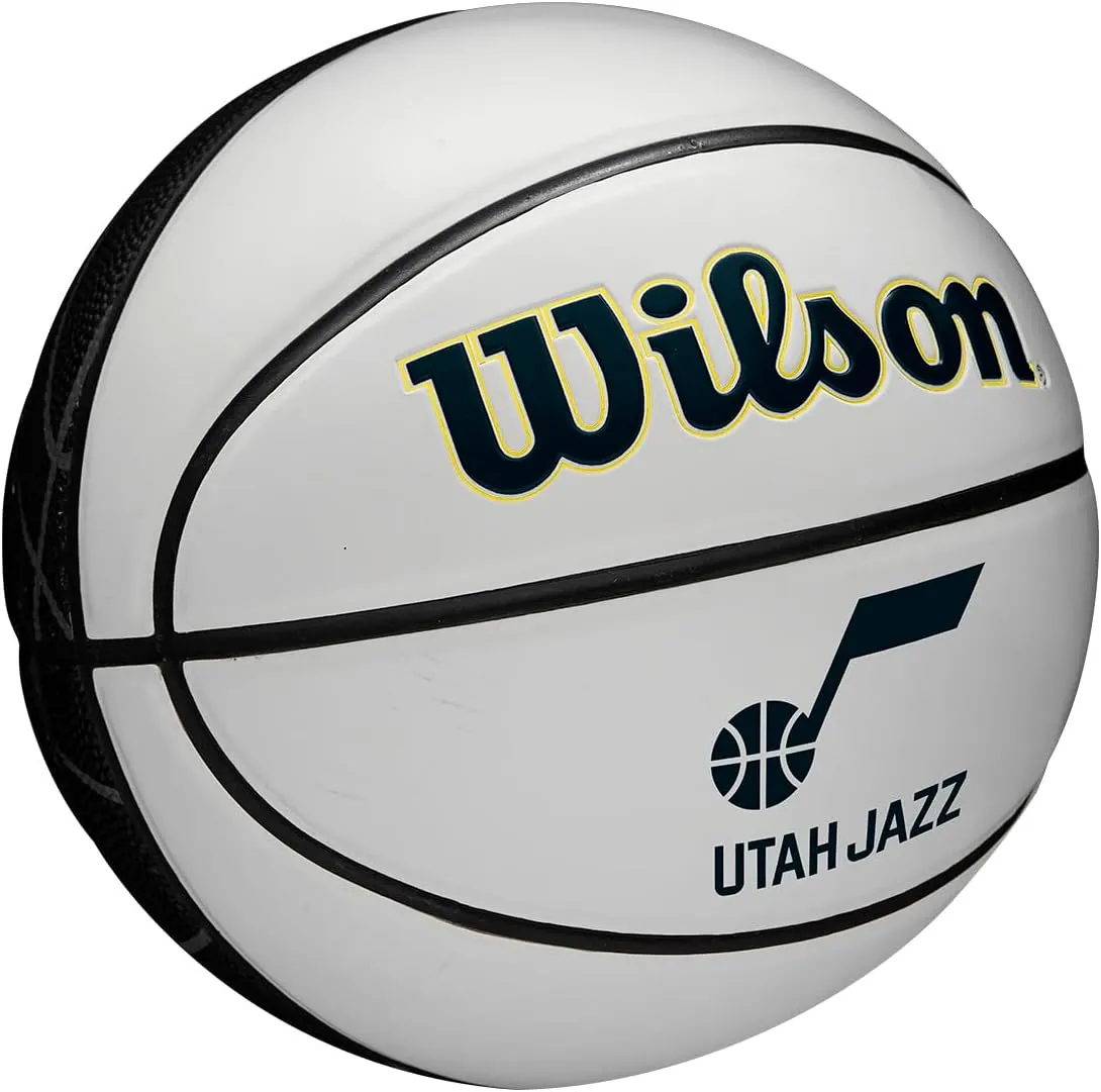 WILSON NBA Team Autograph Mini Basketballs - Size 3-22"