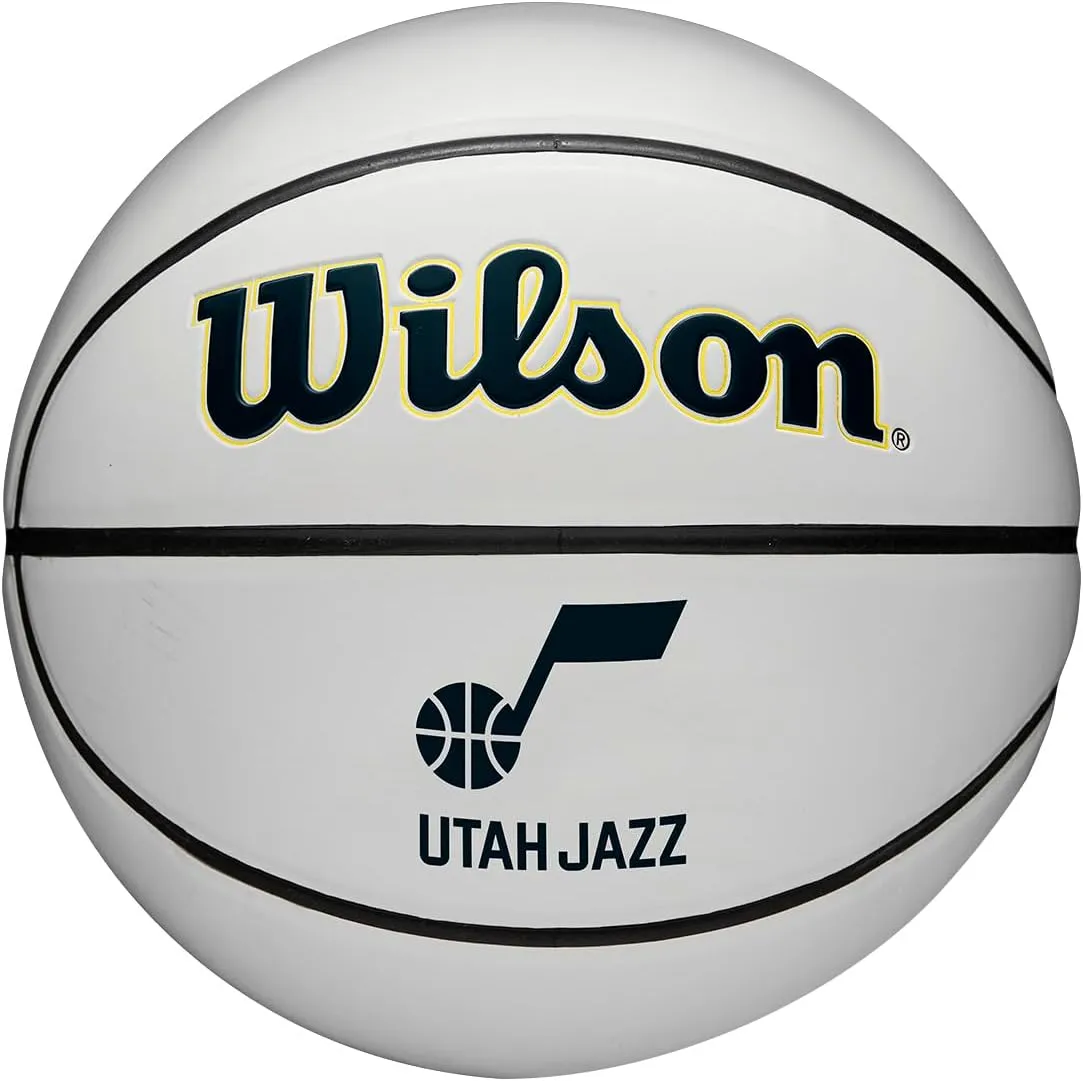 WILSON NBA Team Autograph Mini Basketballs - Size 3-22"